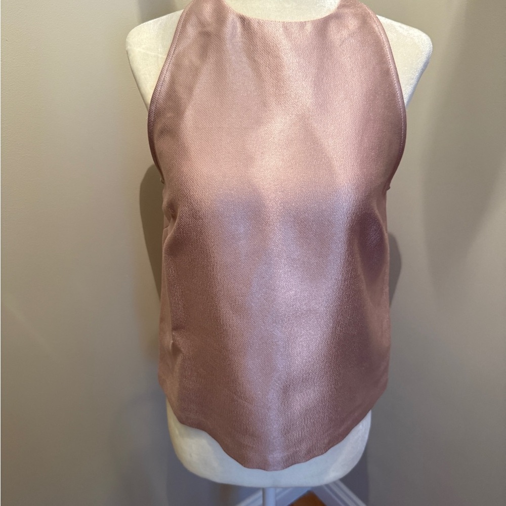 Zara Shimmering Pink Halter Blouse
